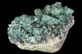 Fluorite Crystal Cluster - Rogerley Mine #106104-1